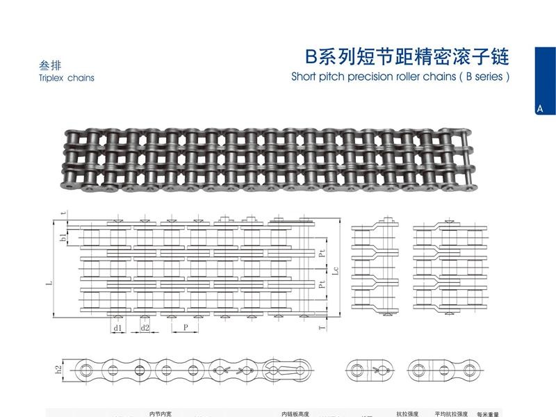 B系列短節(jié)距精密滾子鏈_三排