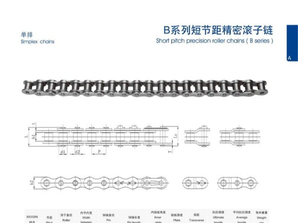 B系列短節(jié)距精密滾子鏈_單排