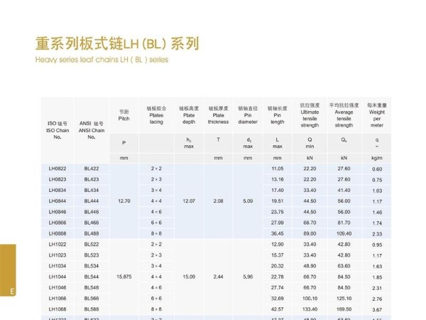 重系列板式鏈LH(BL)系列
